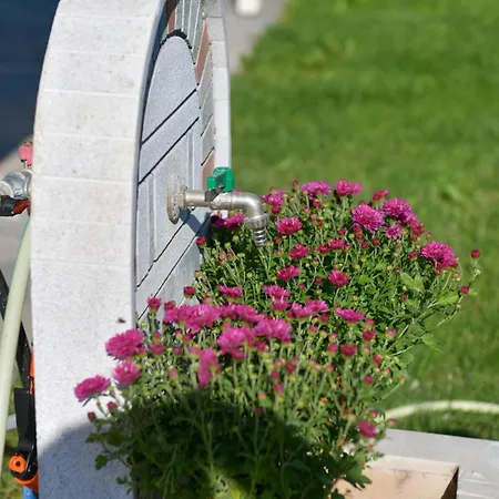 Vayas Residences - Legacy * 特里卡拉